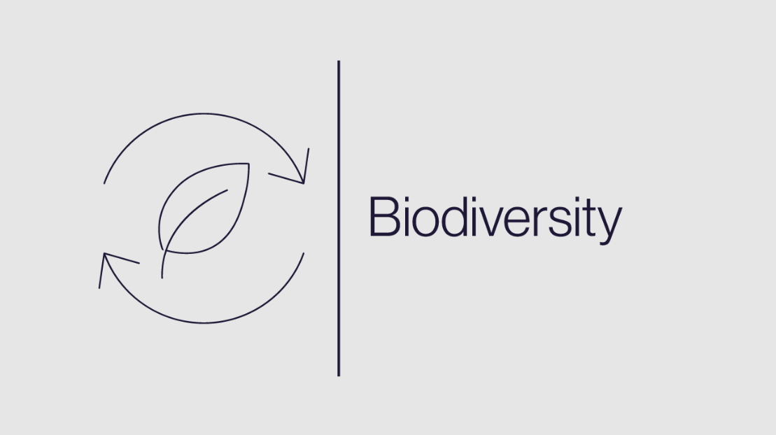 Biodiversity and nature