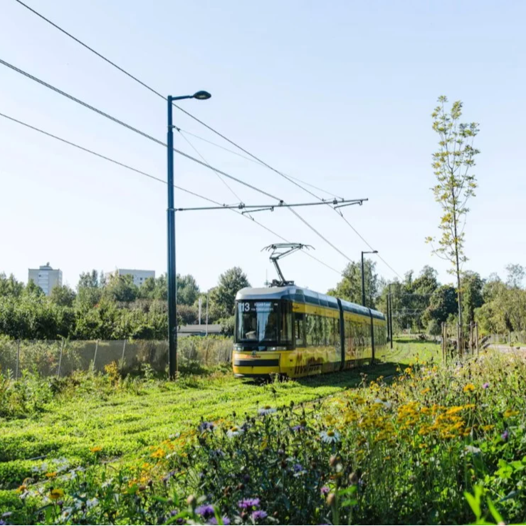 Tampere, Finland – Urban Development&nbsp;&nbsp;