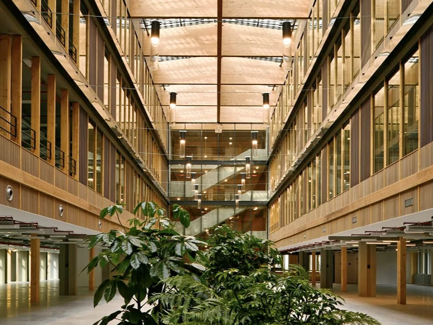 sustainability professionals